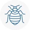 Bed Bug Extermination In Bescles