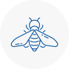 Bee Nest Removal Bescles