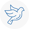 Bird Prevention Bescles
