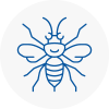 Bescles Hornet Nest Removals