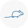 Mice Exterminators In Bescles
