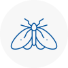 Moth Control Specialists In Bescles