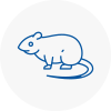Rat Control Bescles