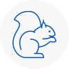 Bescles Rodent Removals