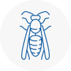 Bescles Wasp Nest Removal